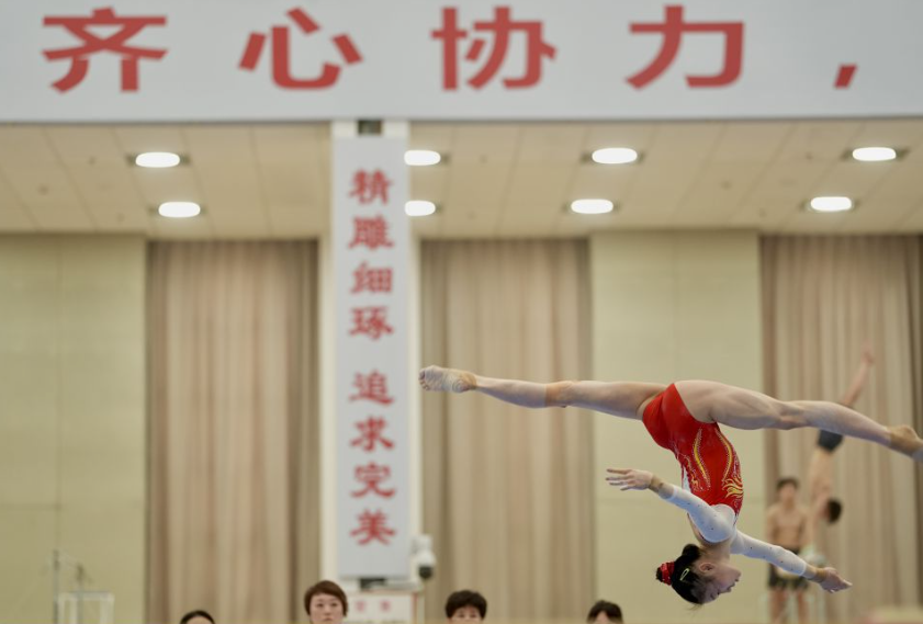解读米兰体育彩票的策略与技巧